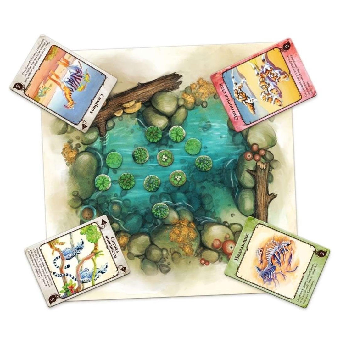 Evolution: Natural Selection Board Game