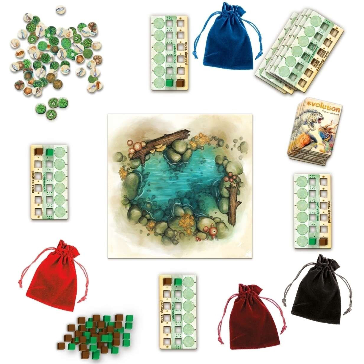 Evolution: Natural Selection Board Game