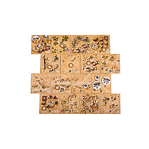 The Fearless Board Game. North Africa