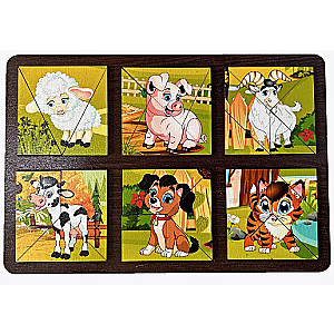 Development Board Compose a Square. Pets