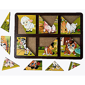 Development Board Compose a Square. Pets