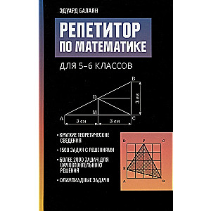 Mathematics Tutor for Grades 5-6