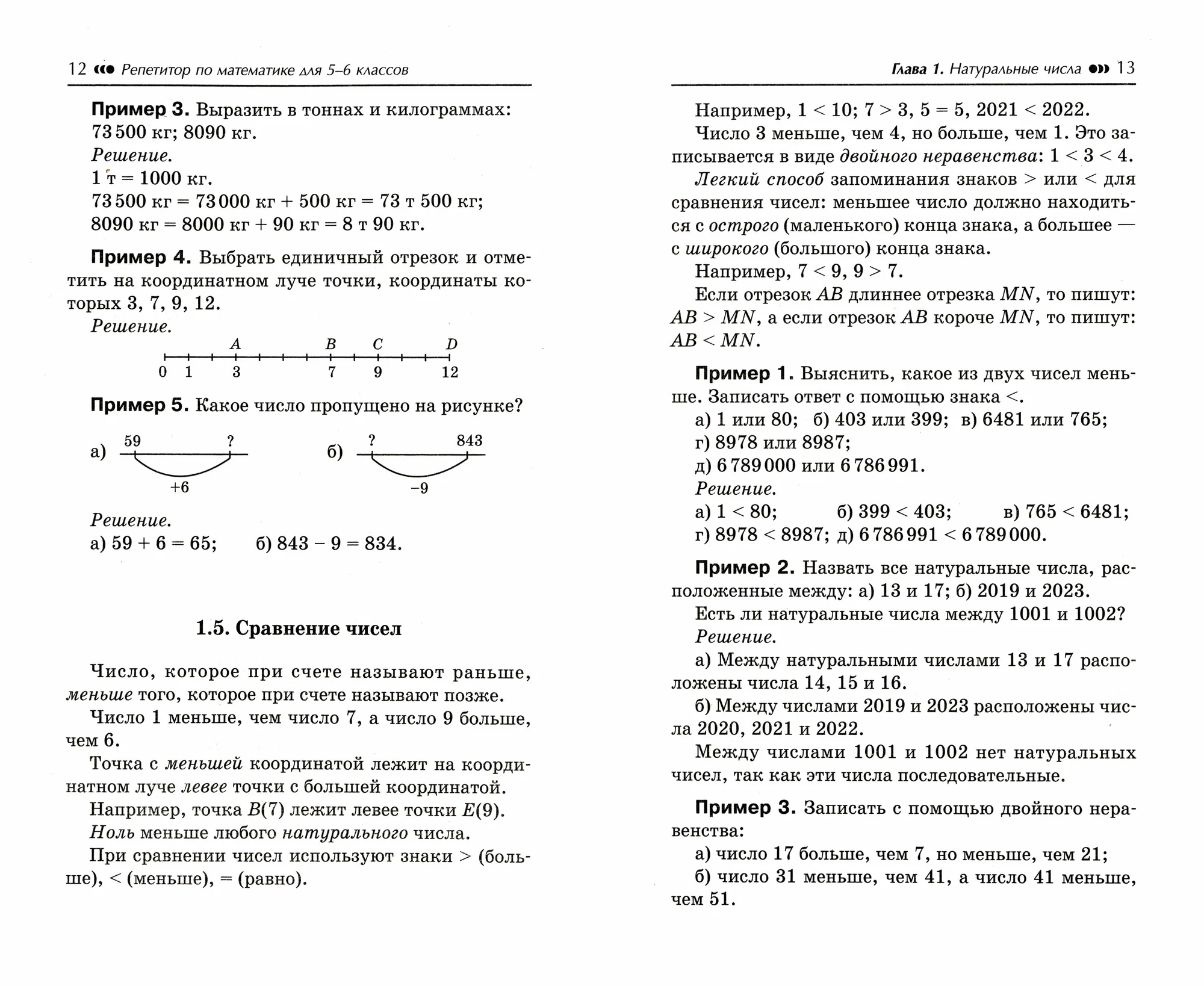 Mathematics Tutor for Grades 5-6