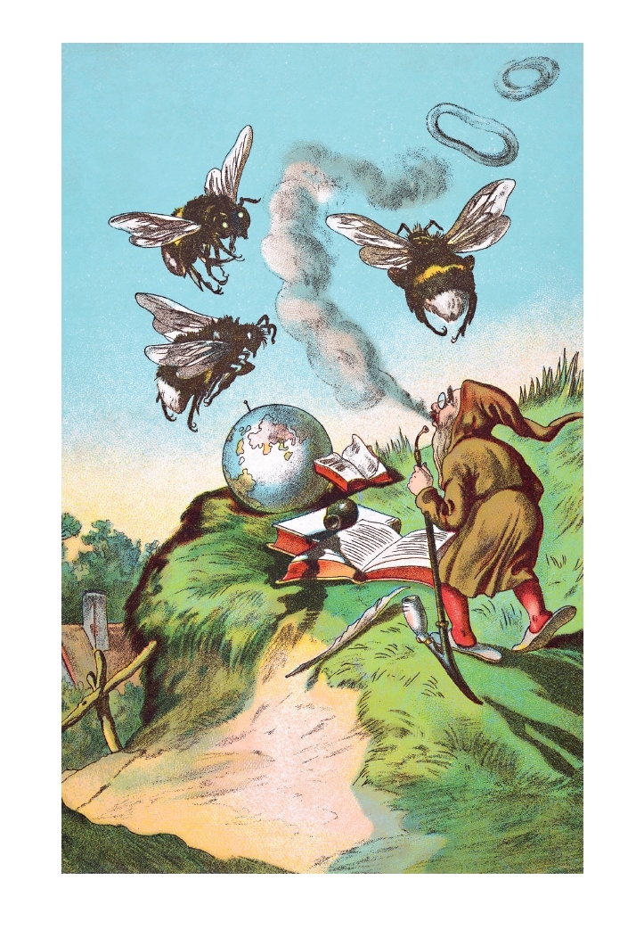 The Story of Gnomes and Orphan Marisa