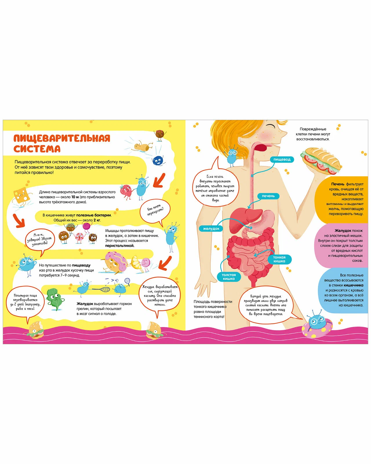 100 Amazing Facts About the Human Body