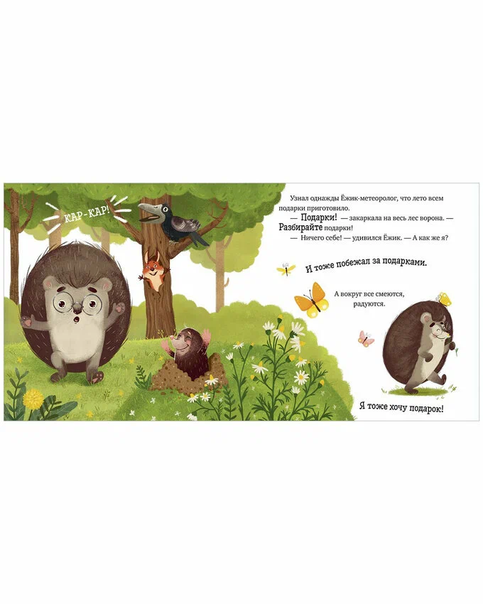 The Adventures of Hedgehog. Year-Round in the Forest