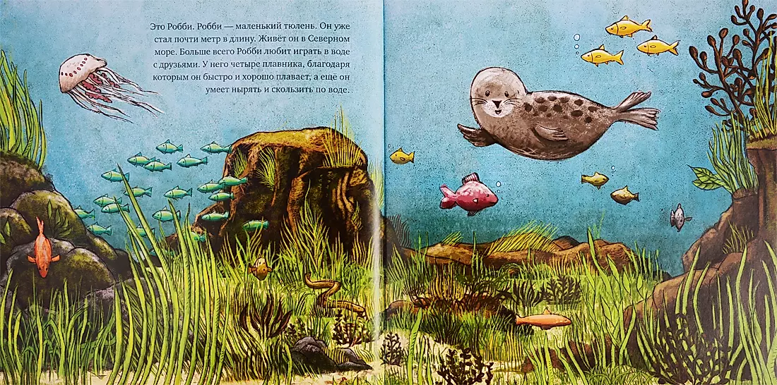 Eco Tales. How Little Robby Saved the Ocean