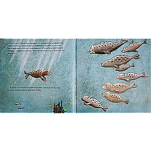 Eco Tales. How Little Robby Saved the Ocean