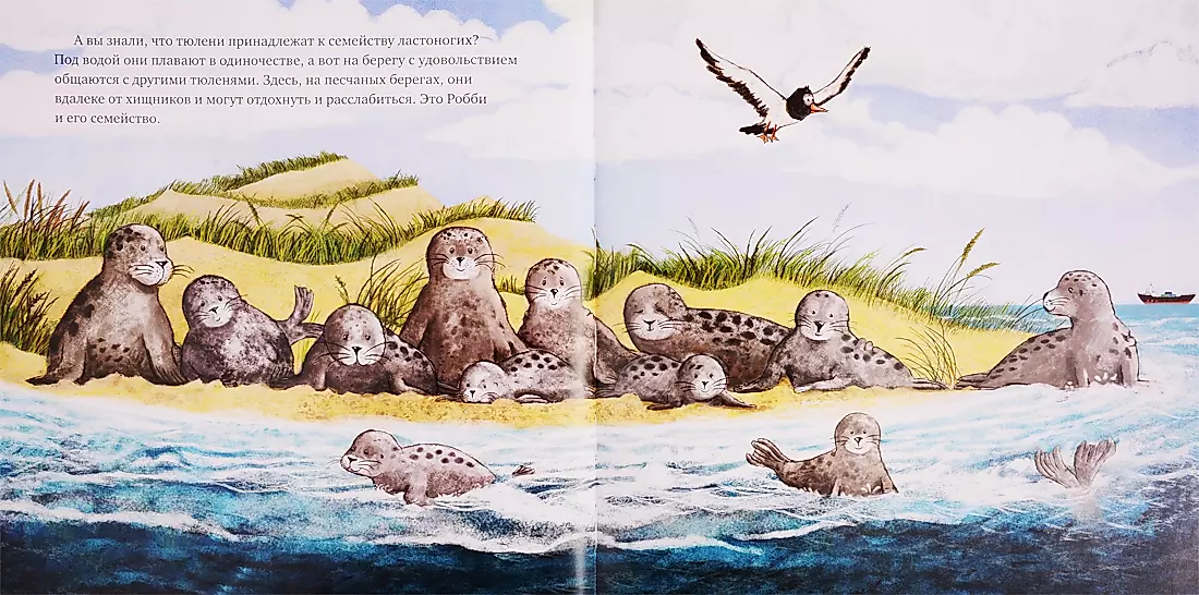 Eco Tales. How Little Robby Saved the Ocean
