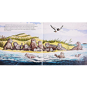 Eco Tales. How Little Robby Saved the Ocean