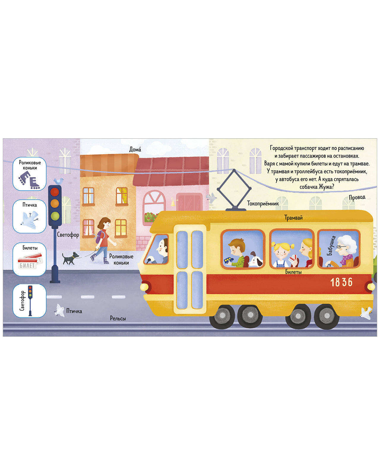 Find and show, little one. Transport