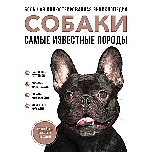 Dogs. The Most Famous Breeds. A Large Illustrated Encyclopedia