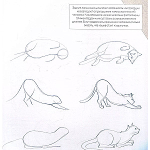 Drawing is easy. Let's learn to draw nature, animals, people, and perspective