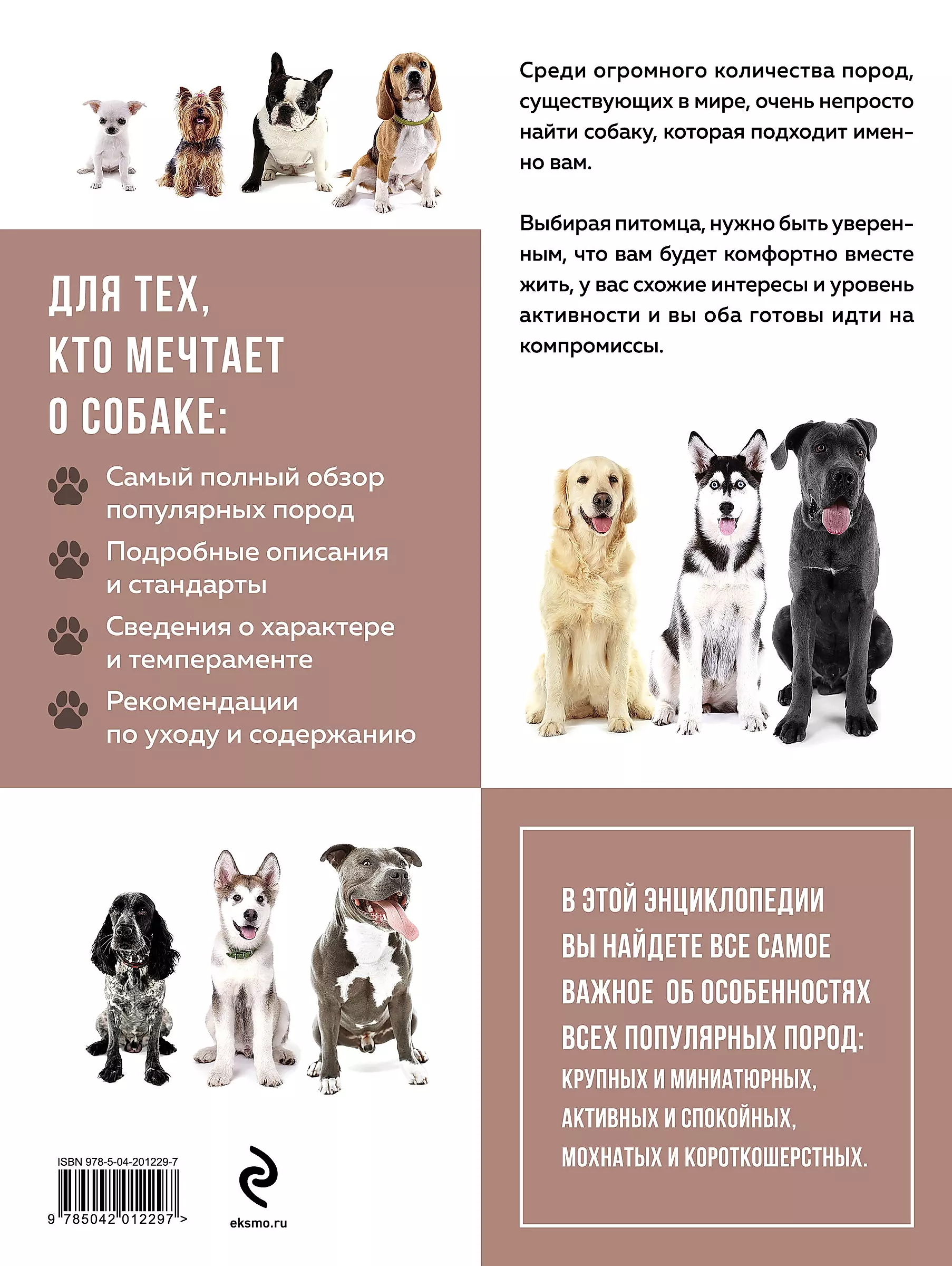 Dogs. The Most Famous Breeds. A Large Illustrated Encyclopedia