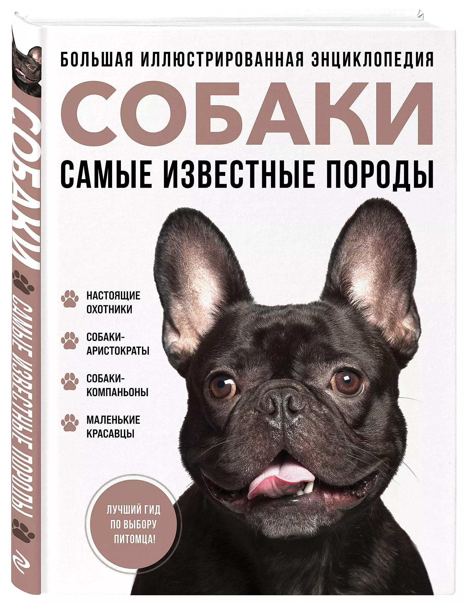 Dogs. The Most Famous Breeds. A Large Illustrated Encyclopedia