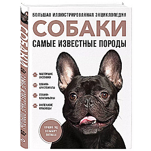 Dogs. The Most Famous Breeds. A Large Illustrated Encyclopedia