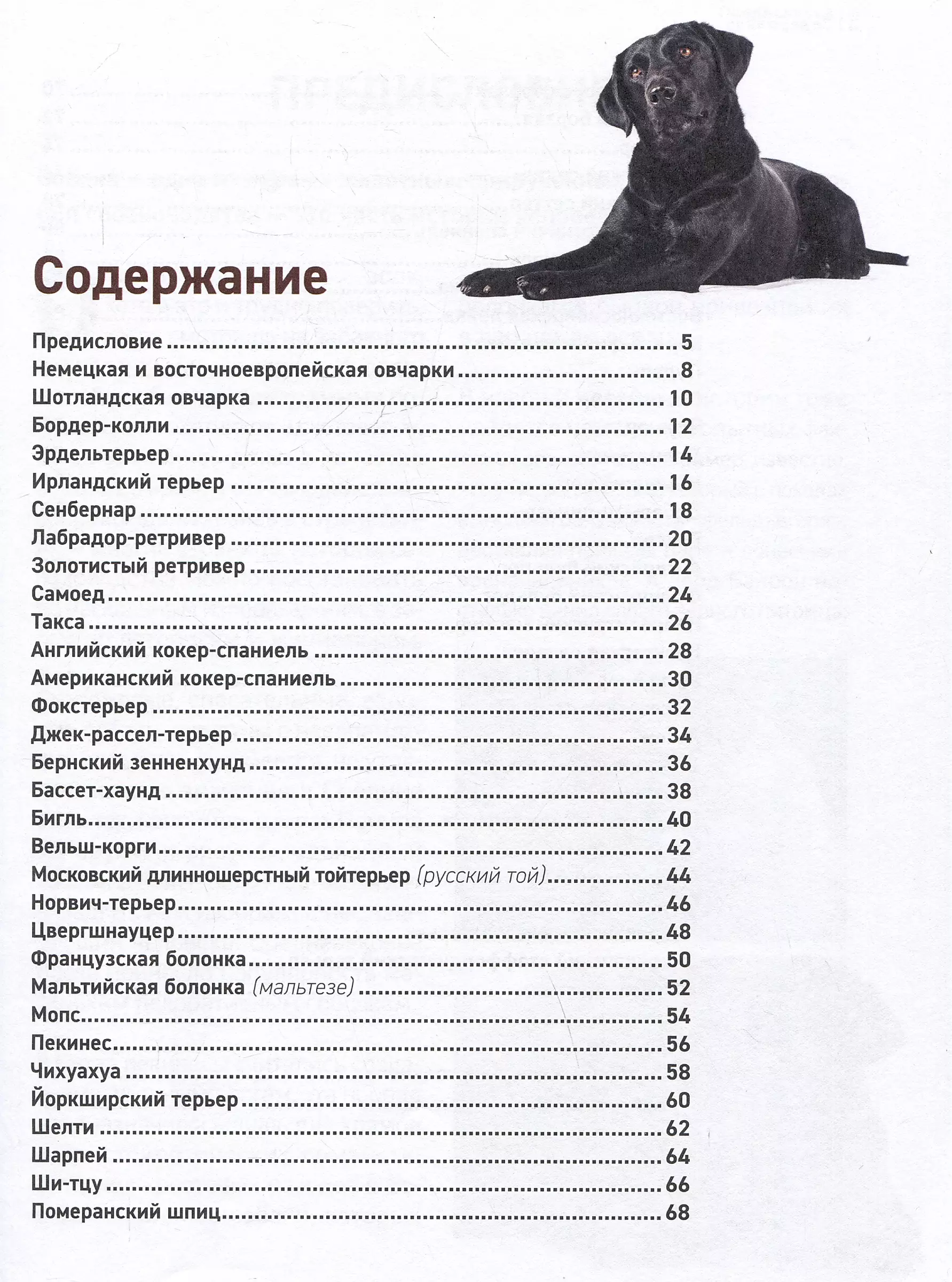 Dogs. The Most Famous Breeds. A Large Illustrated Encyclopedia