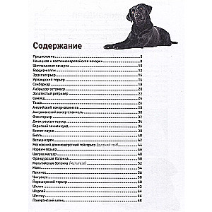 Dogs. The Most Famous Breeds. A Large Illustrated Encyclopedia