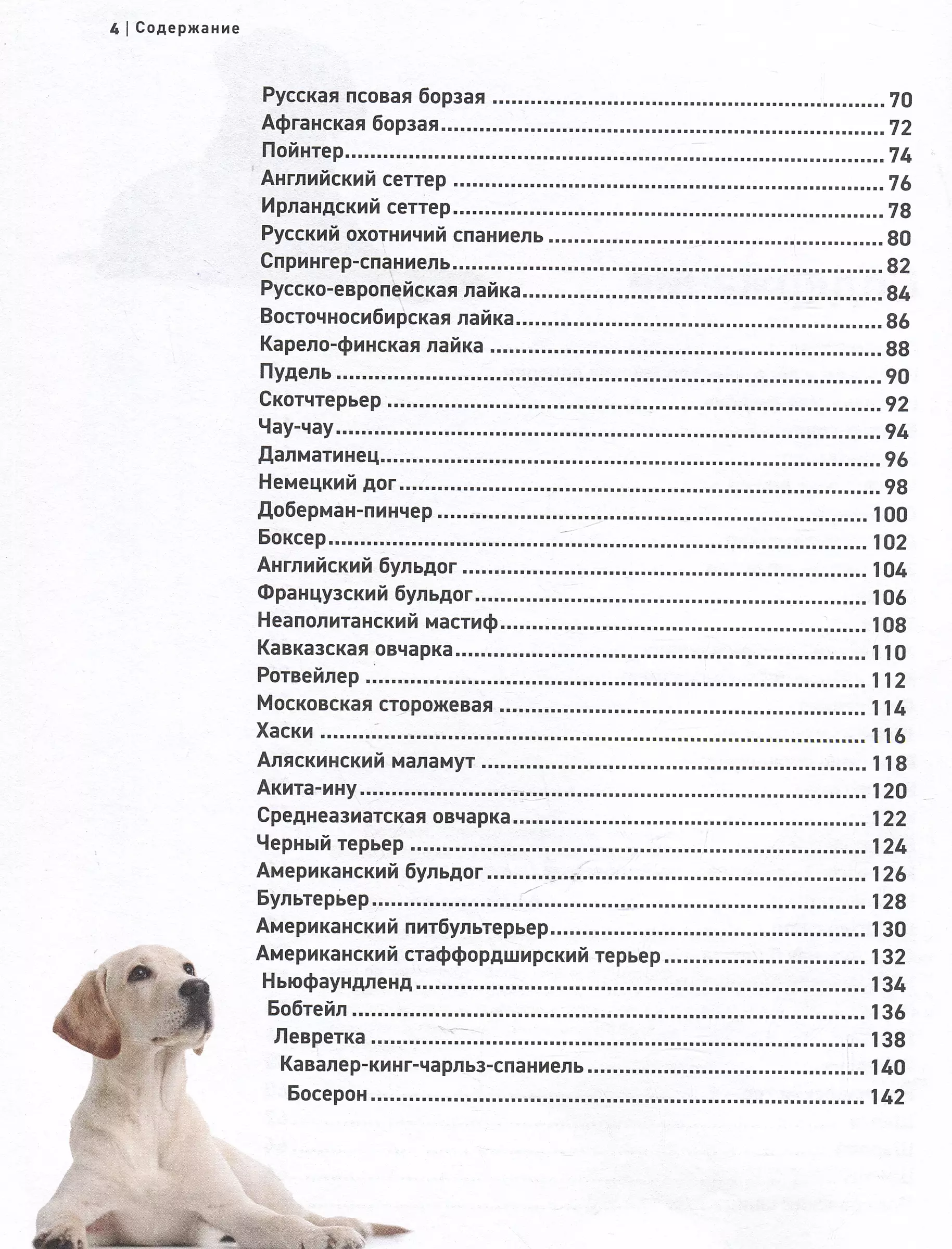 Dogs. The Most Famous Breeds. A Large Illustrated Encyclopedia