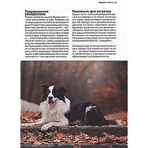 Dogs. The Most Famous Breeds. A Large Illustrated Encyclopedia