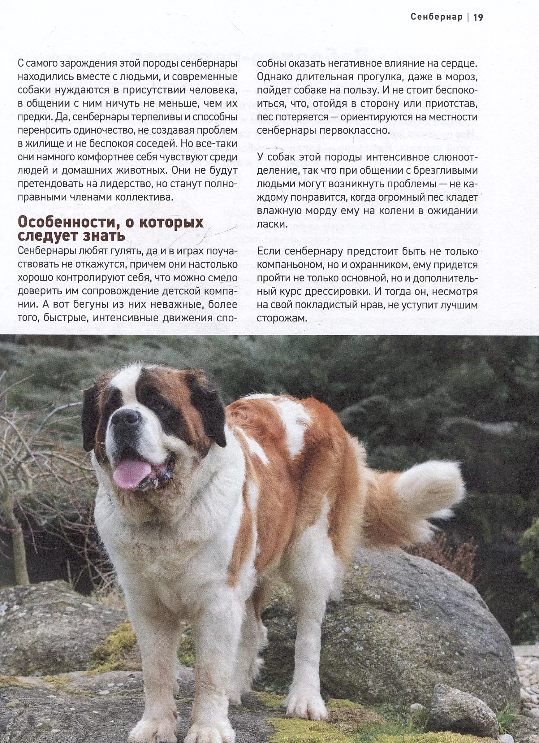 Dogs. The Most Famous Breeds. A Large Illustrated Encyclopedia