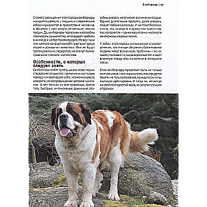 Dogs. The Most Famous Breeds. A Large Illustrated Encyclopedia