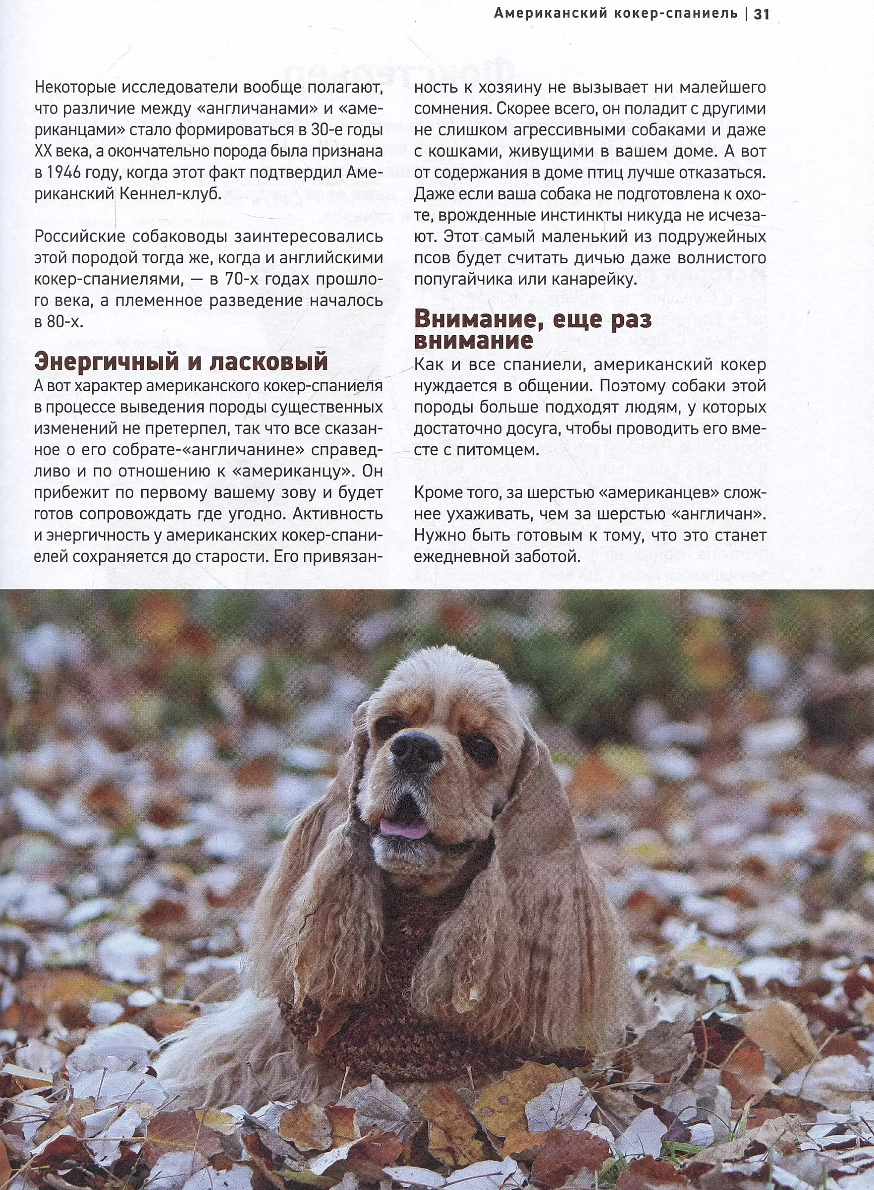 Dogs. The Most Famous Breeds. A Large Illustrated Encyclopedia