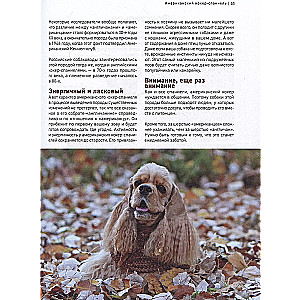 Dogs. The Most Famous Breeds. A Large Illustrated Encyclopedia