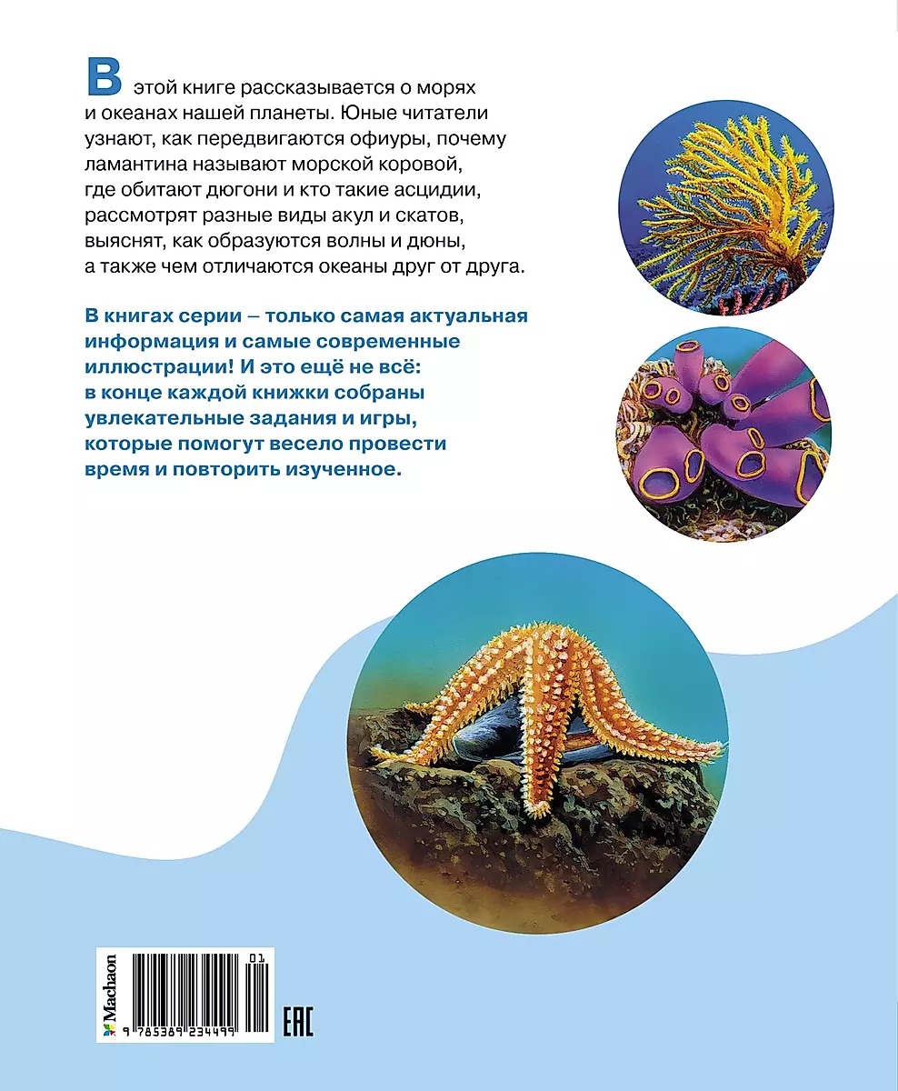 The Sea and Its Inhabitants