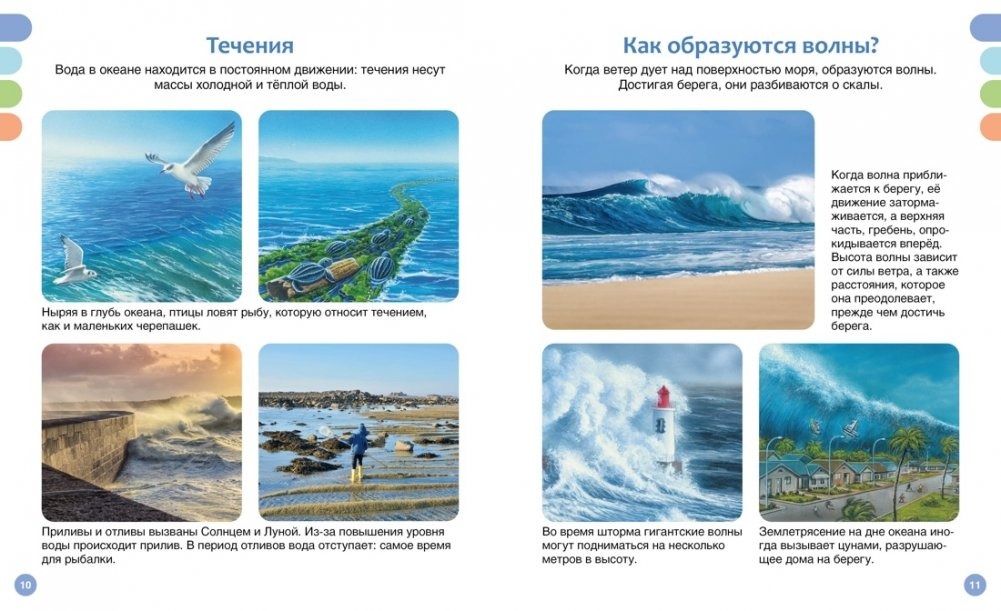 The Sea and Its Inhabitants