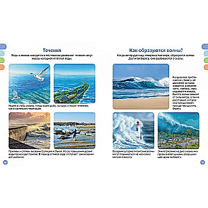 The Sea and Its Inhabitants