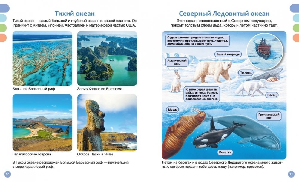 The Sea and Its Inhabitants