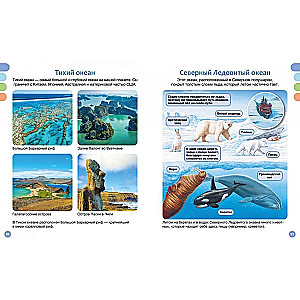 The Sea and Its Inhabitants