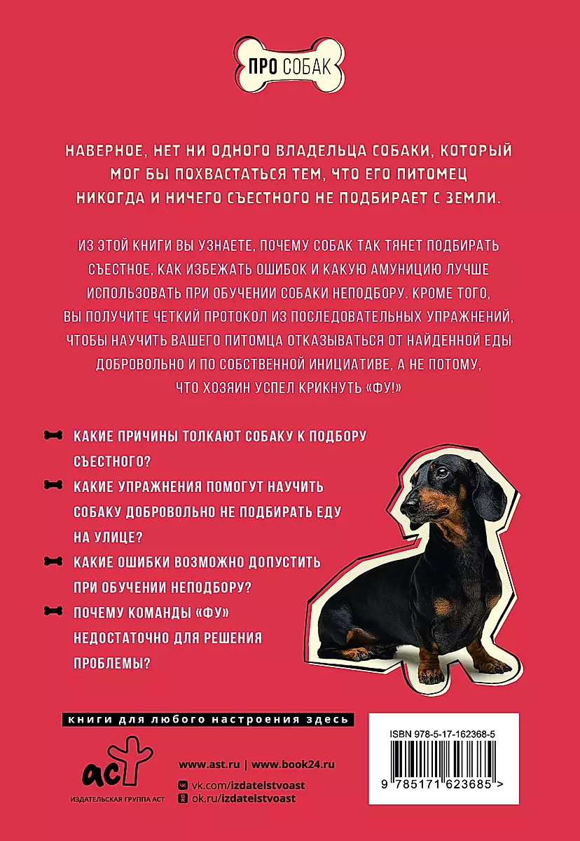 Phew! My Vacuum Cleaner Dog, or How to Teach Your Dog Not to Pick Up Food on the Street