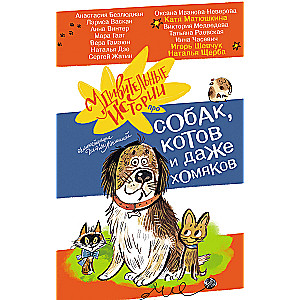 Amazing stories about dogs, cats, and even hamsters