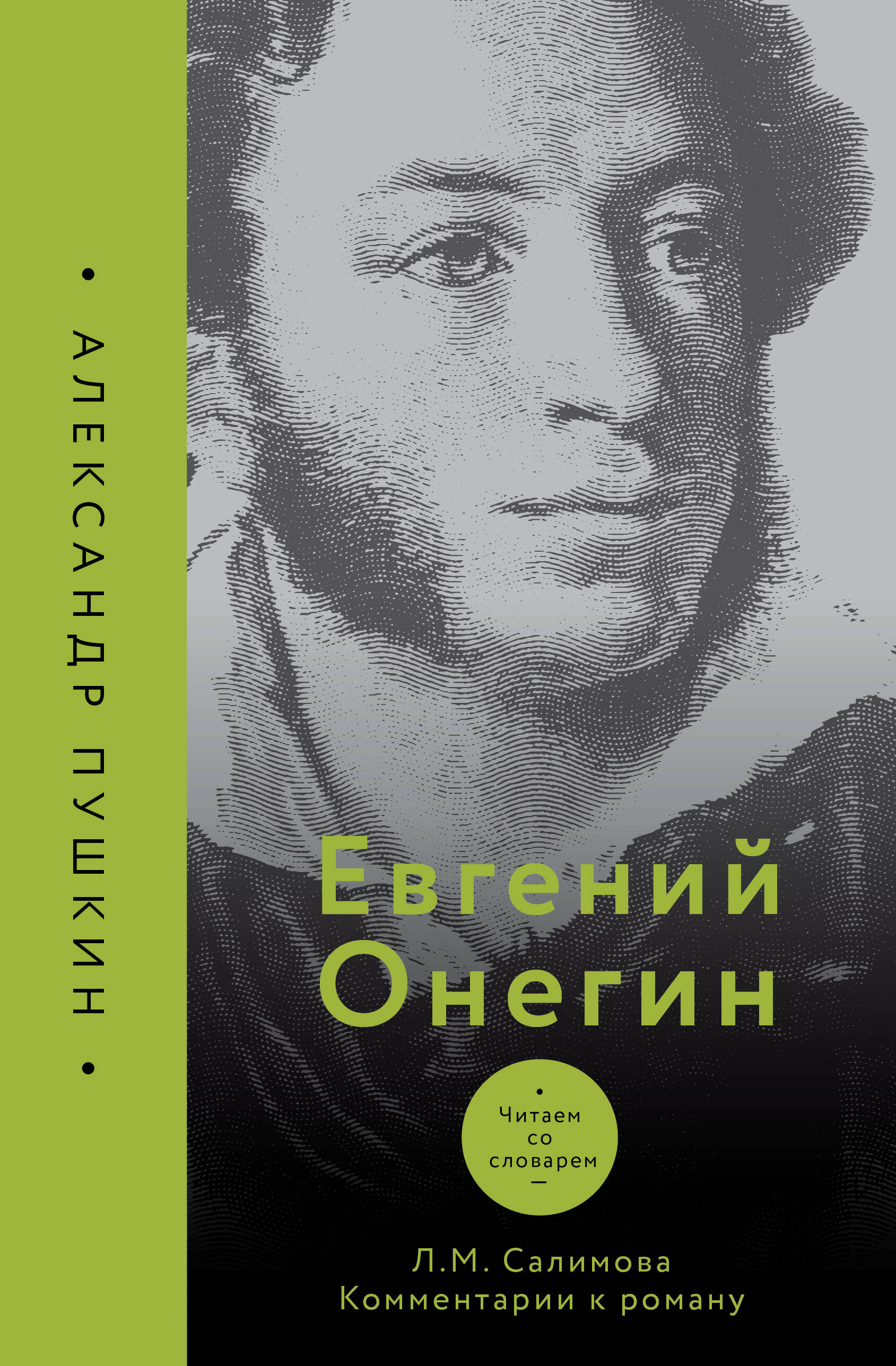 Eugene Onegin. Reading with a Dictionary. Comments on the Novel