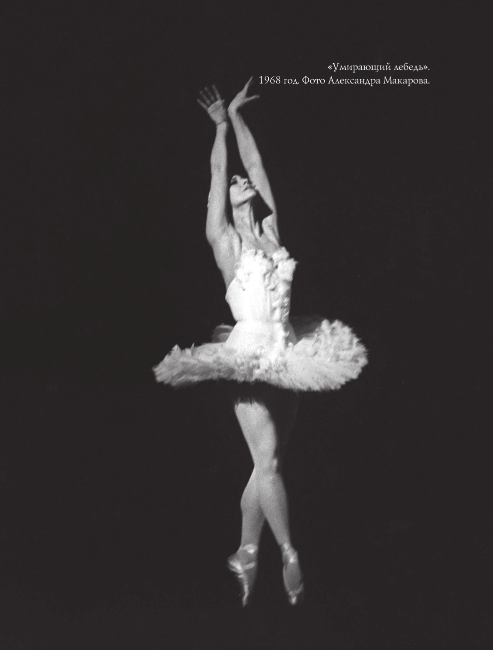Maya Plisetskaya. Five Days with a Legend. A Documentary Story