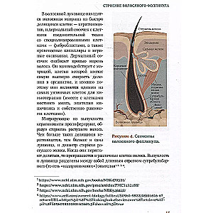 Hair. An Illustrated Guide for Physicians, Trichologists, and Hairdressers