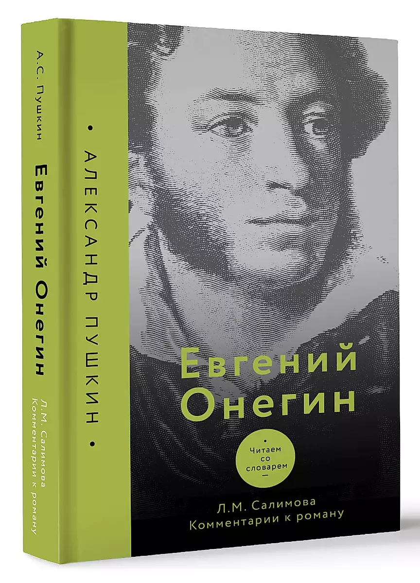 Eugene Onegin. Reading with a Dictionary. Comments on the Novel