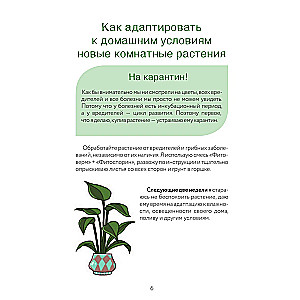 A Florist's Guide. A Tracker for Caring for Houseplants