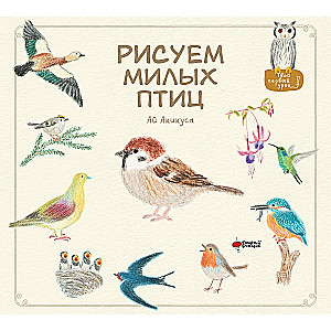 Drawing Cute Birds