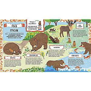 What meerkats and other hungry animals eat