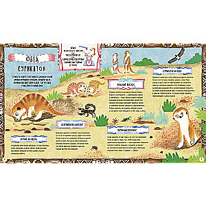 What meerkats and other hungry animals eat