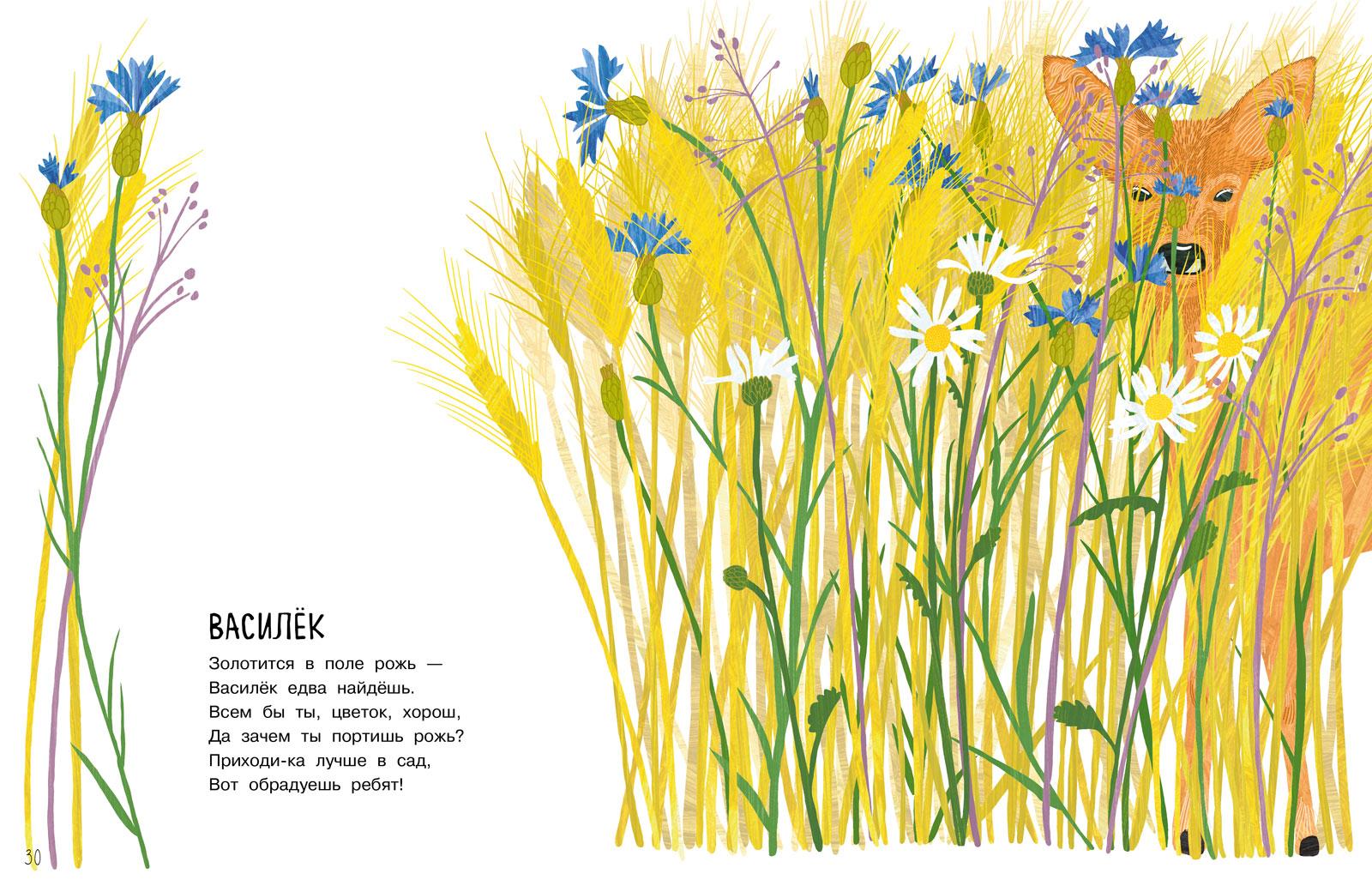 Our Flowers