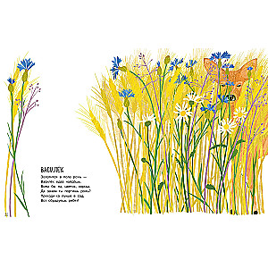 Our Flowers