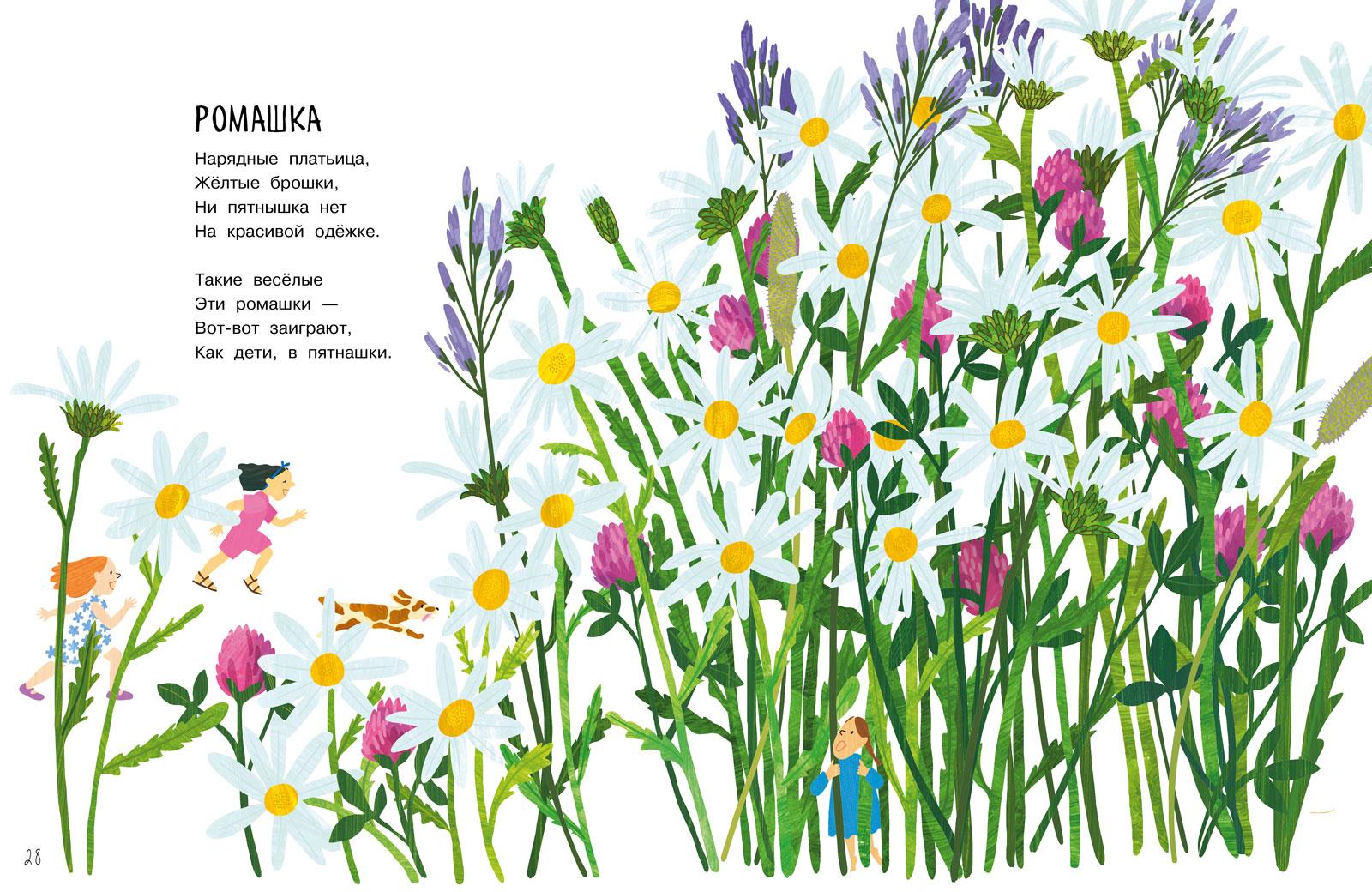 Our Flowers
