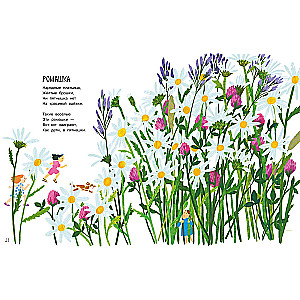 Our Flowers