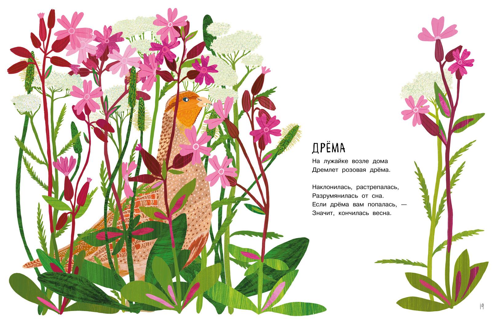 Our Flowers