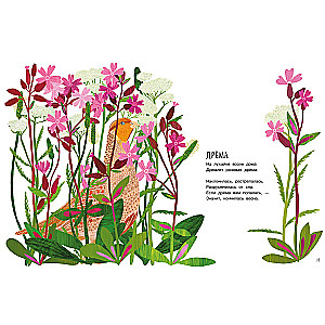 Our Flowers
