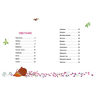 Our Flowers